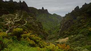 Love remote jobs? British wildlife group has an opportunity on one of world's most isolated places