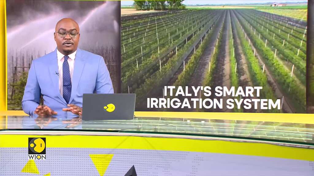 Italy's effort to make crops more resilient to drought risk
