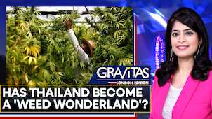 Gravitas: Thailand's marijuana industry booms