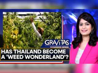 Gravitas: Thailand's marijuana industry booms