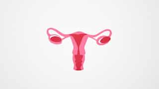 What you must know about menstrual cycle if you have Polycystic Ovary Syndrome | PCOS Awareness Month
