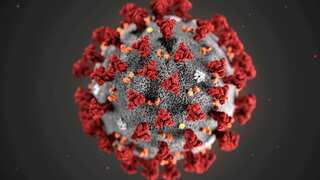 US: CDC keeps eye on new lineage of virus that causes Covid