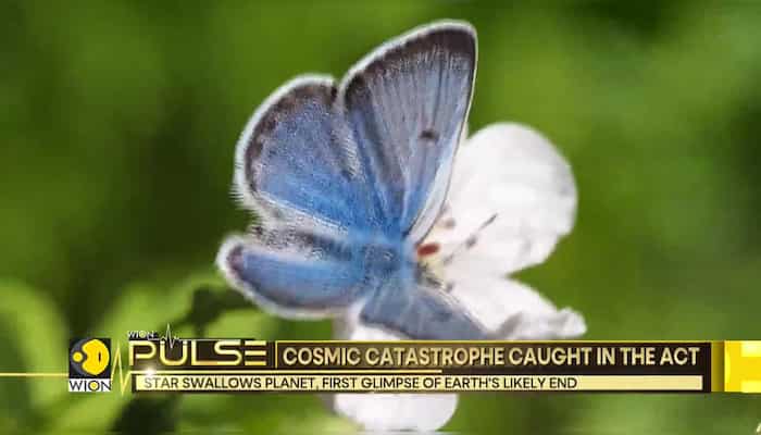 How our sun will swallow the earth