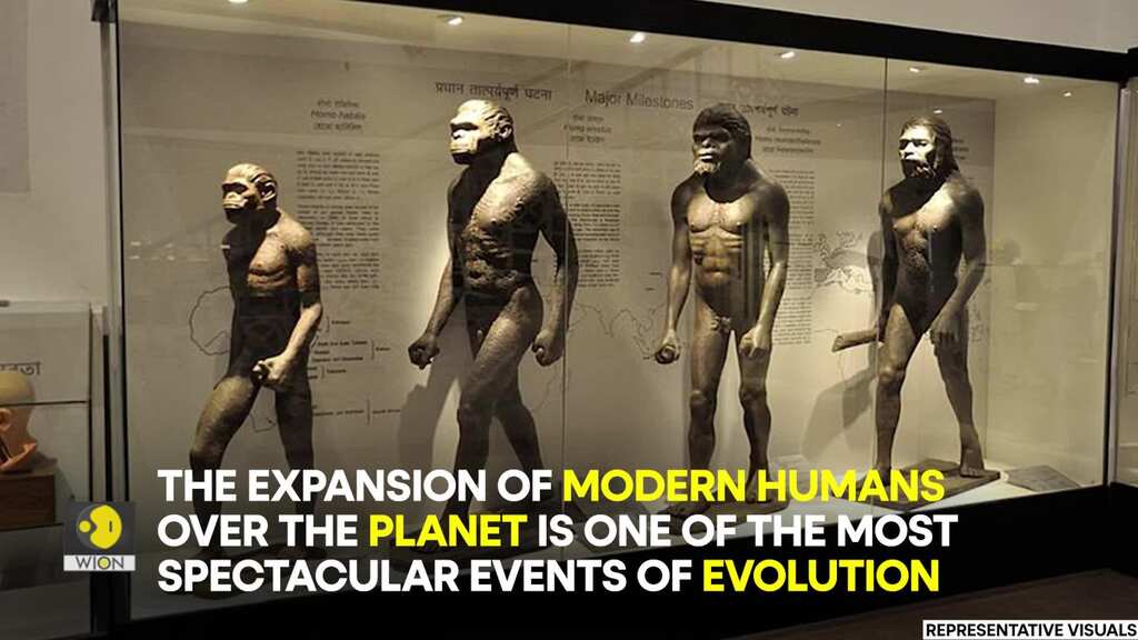 Ancient human civilisation needed three attempts & 12,000 years to colonise Europe: Study