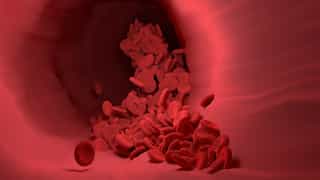 What is World Thalassaemia Day? Check its history, theme and all other details you need to know