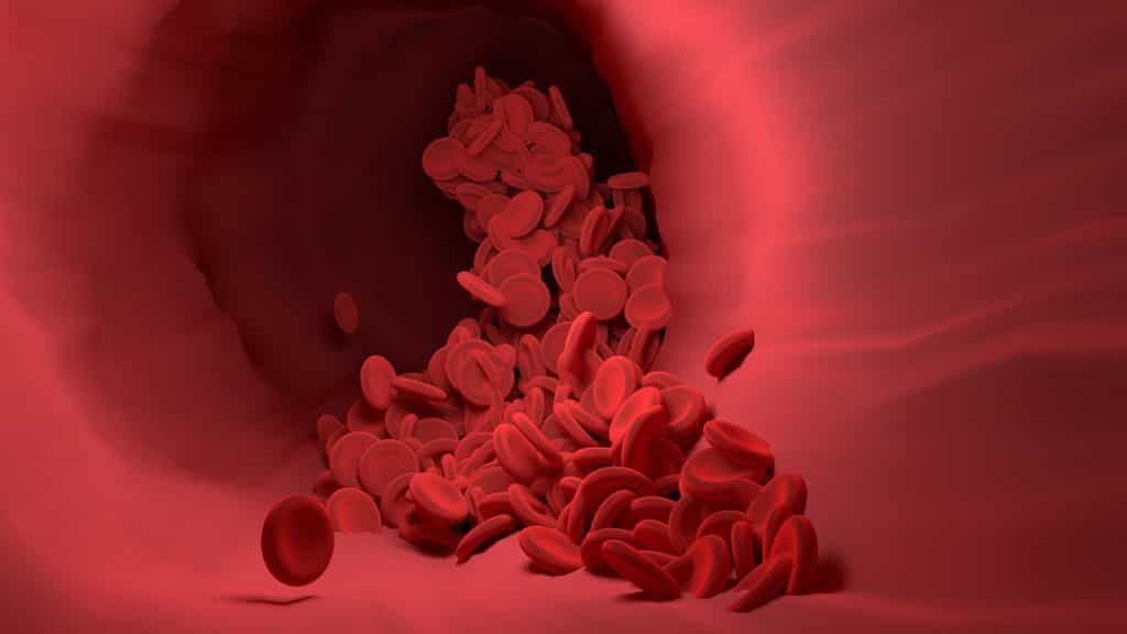 What is World Thalassaemia Day? Check its history, theme and all other details you need to know