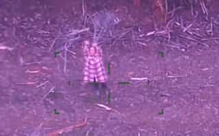 No food, no water, only wine: 48-year-old woman miraculously survives five days in bush