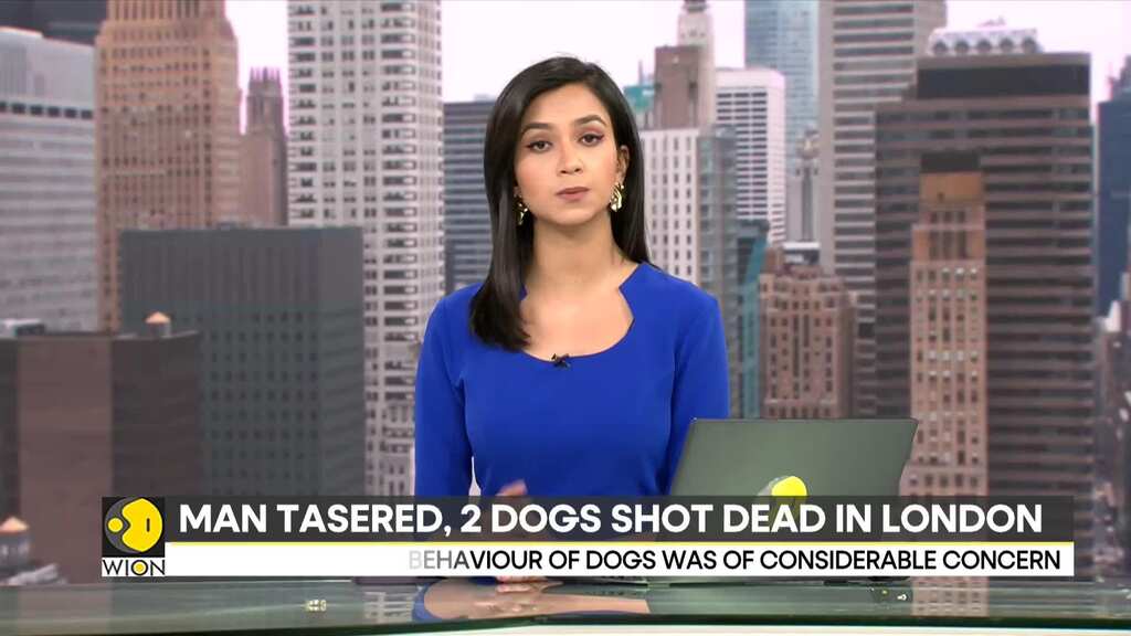 London: Met Police shoot dead two dogs and Taser man