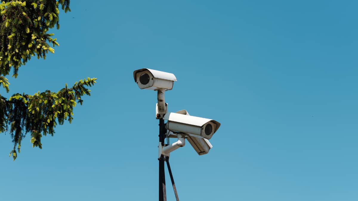 Big Boss moment: Husband lands in trouble after wife receives his traffic CCTV pics with lady friend Big Boss moment: Husband lands in trouble after wife receives his traffic CCTV pics with lady friend