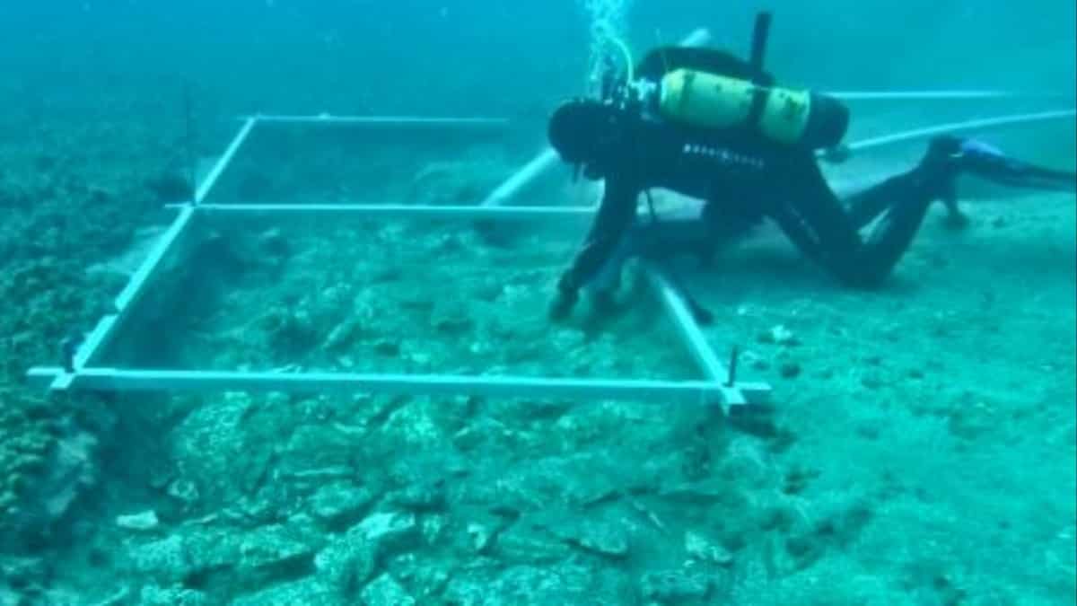 Archaeologists find 7,000-year-old road submerged under water Archaeologists find 7,000-year-old road submerged under water