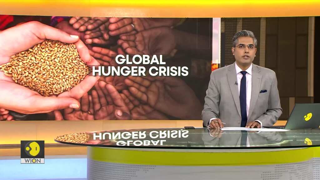 Global hunger and Food insecurity crisis