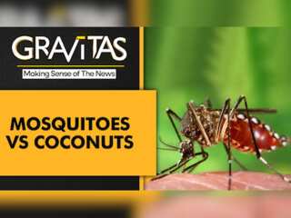 Gravitas: Coconut-scented soaps can repel mosquitoes