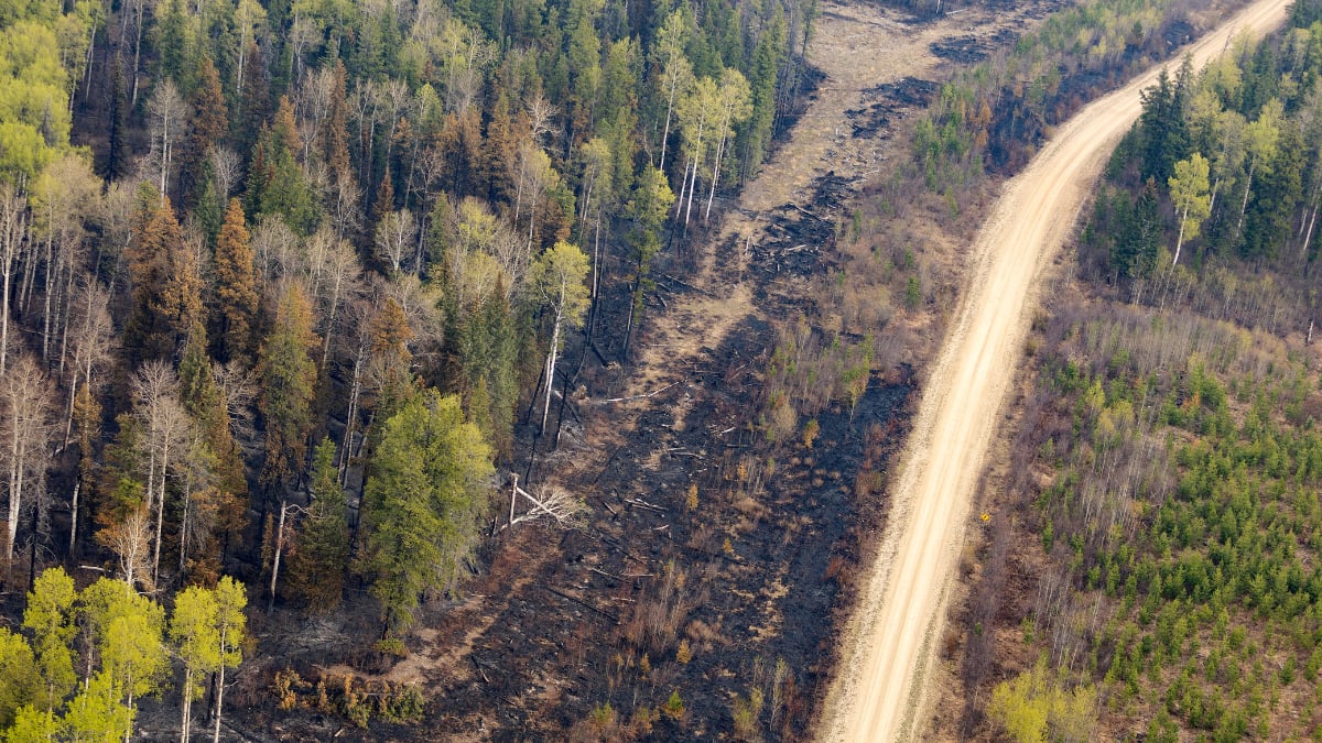 Environment Canada issues warning