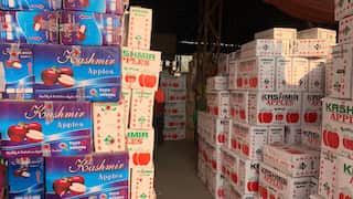 Kashmiri apple farmers happy after Indian government amends apple import policy