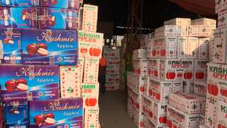 Kashmiri apple farmers happy after Indian government amends apple import policy