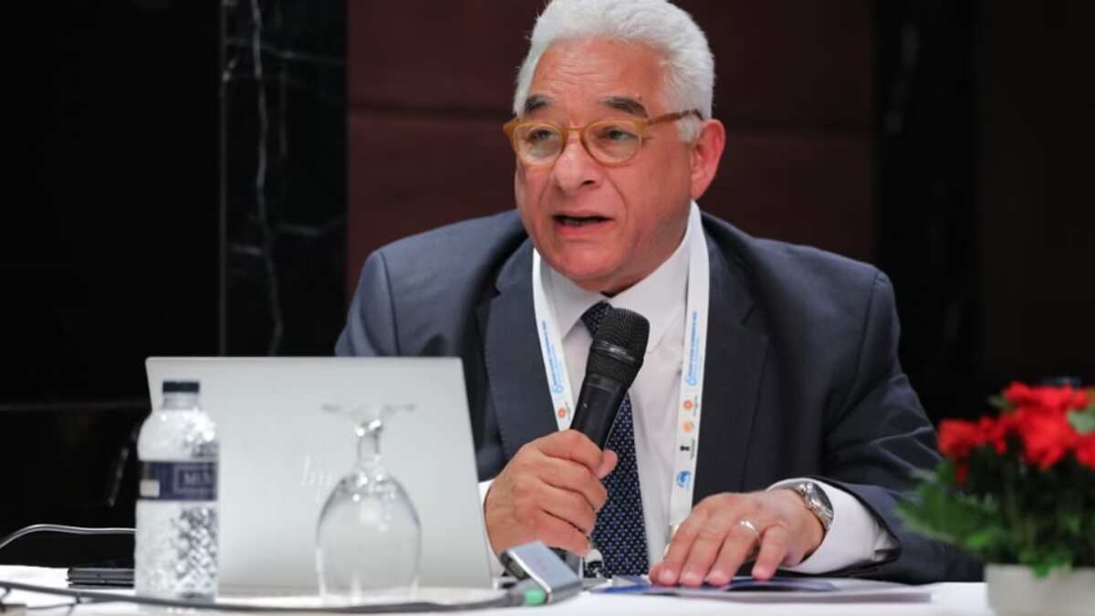 Exclusive: 'Cairo can add value to summit': Top Egyptian official on receiving G20 invitation from New Delhi