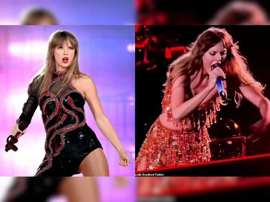 Taylor Swift yells at security guard from stage for mishandling a fan; video goes viral