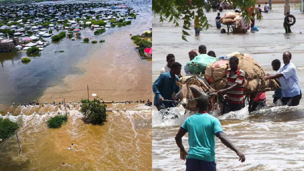 Climate change | Flash floods caused by heavy rainfall claims 22 lives in Somalia, 450,000 affected: UN