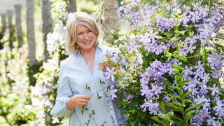 Who is Martha Stewart? American lifestyle icon who became oldest cover model for Sports Illustrated at 81