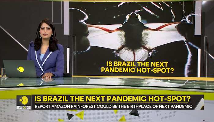 WionNews Video