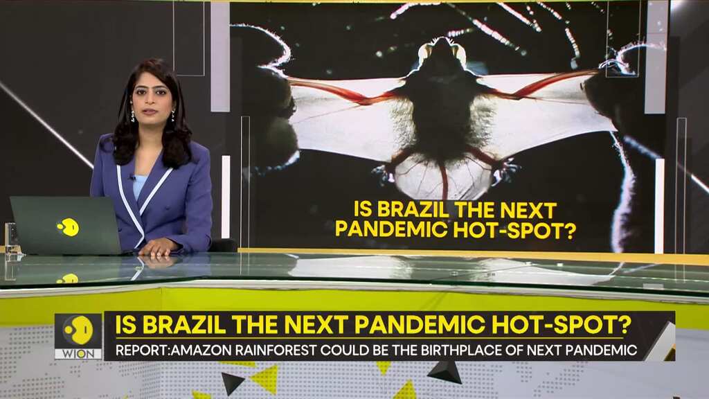 Gravitas: The next pandemic to emerge from Brazil's amazon?