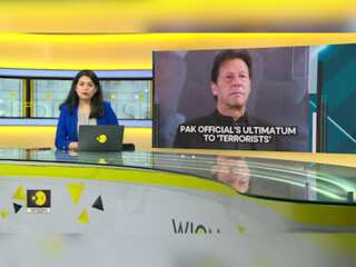 Pakistan govt to PTI: Handover terrorists or else law will take its course