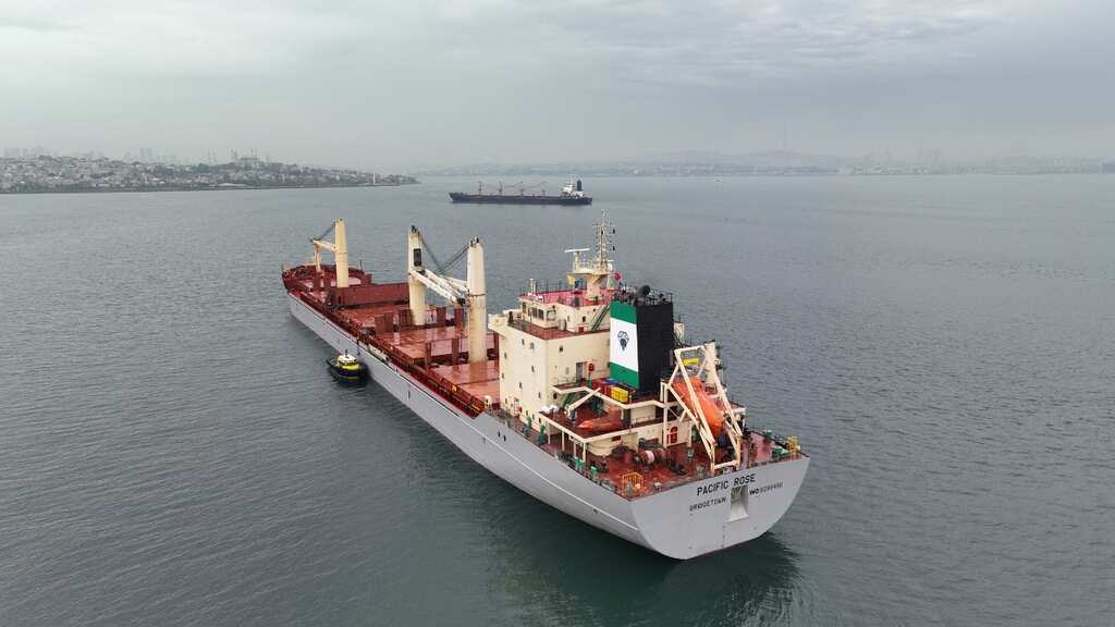 Turkey underlines 'critical' need to revive Ukraine grain deal