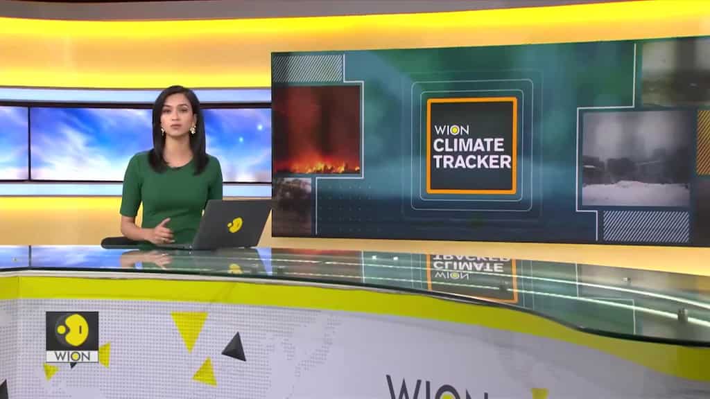 Thick layer of haze hovers over New Delhi | WION Climate Tracker