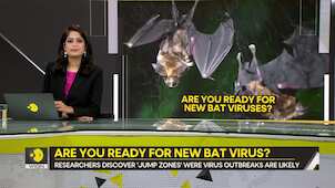 Gravitas: China set to birth another global pandemic? | What are jump zones & should you be scared?