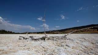 More than half of world's large lakes and reservoirs drying up: Study