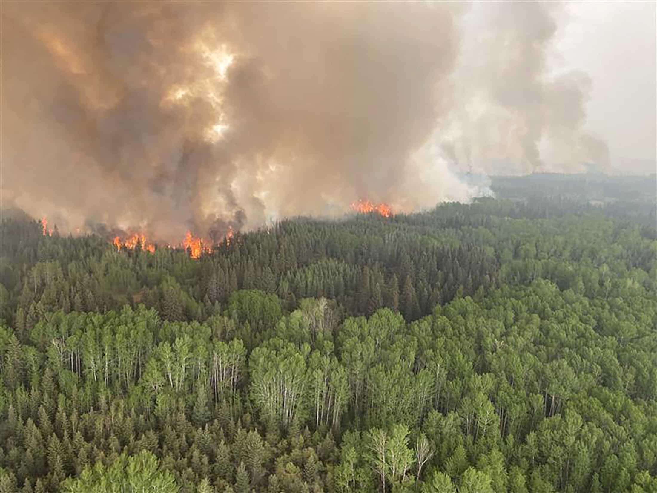 National parks not spared either
