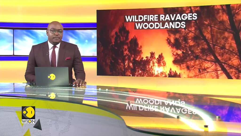 Out-of-control wildfire leaves scorched landscape in Spain