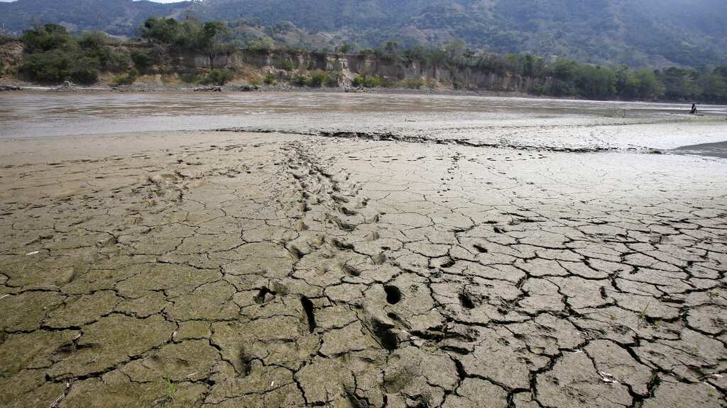 Climate change, extreme weather have led to hundreds of thousands of deaths in India: UN