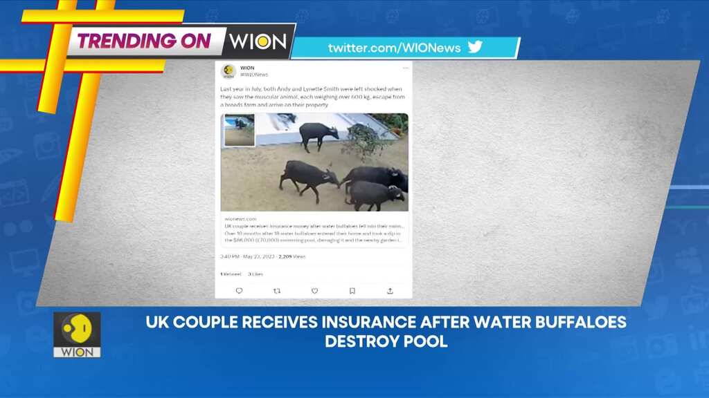 First Saudi Arabian woman travels to space