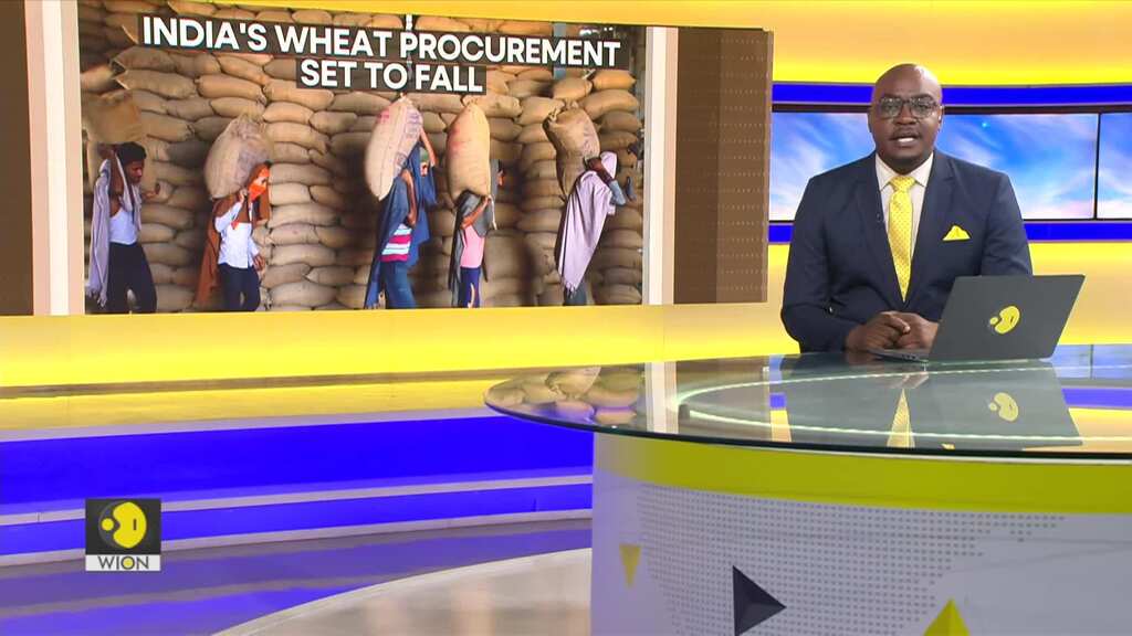 India's wheat procurement set to fall below estimate by 20%