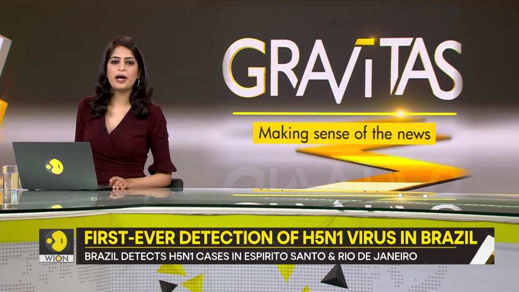 Gravitas: Brazil records its first-ever spread of H5N1 virus cases