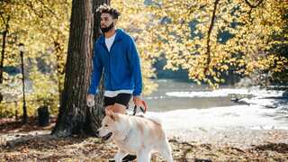 Walking for longevity: Just 8,000 steps, once or twice a week, cuts mortality risk