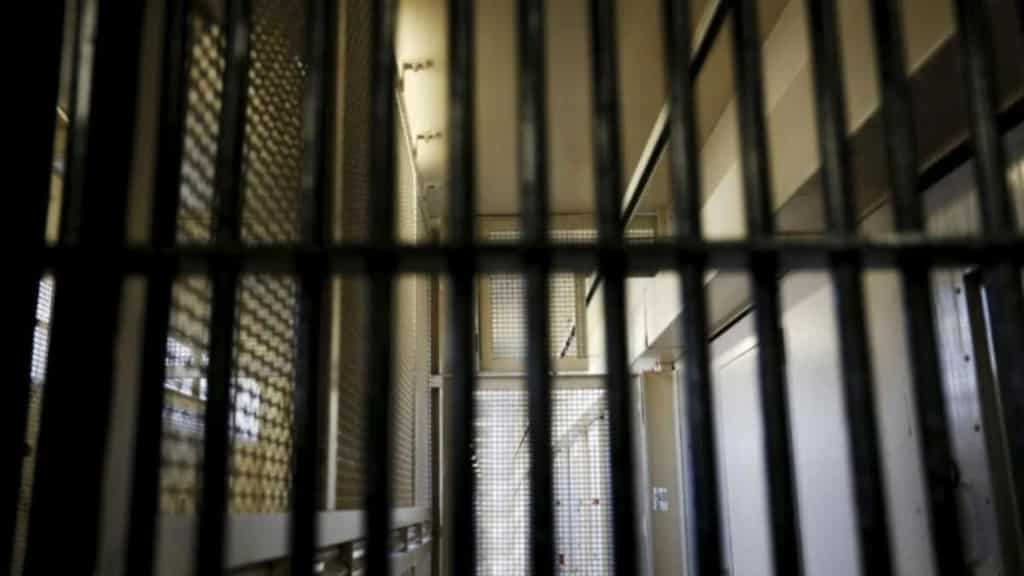 Man gets two-year jail for buying alpaca farm with Covid relief money