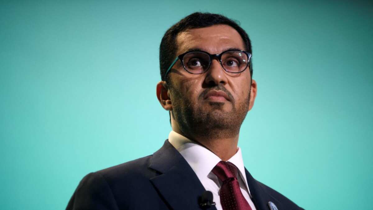 More than 100 US and EU lawmakers push to remove Sultan Al Jaber as COP28 head
