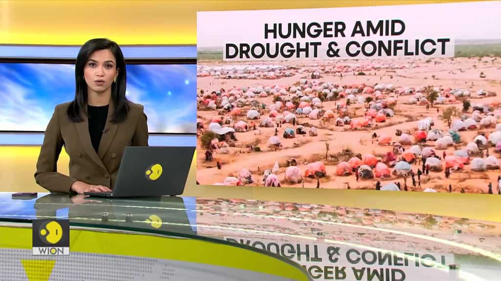 At least one million people displaced in Somalia by conflicts, floods: UNHCR