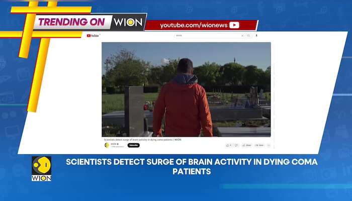 WionNews Video