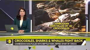 Gravitas: 40 Crocodiles rip apart a Cambodian man