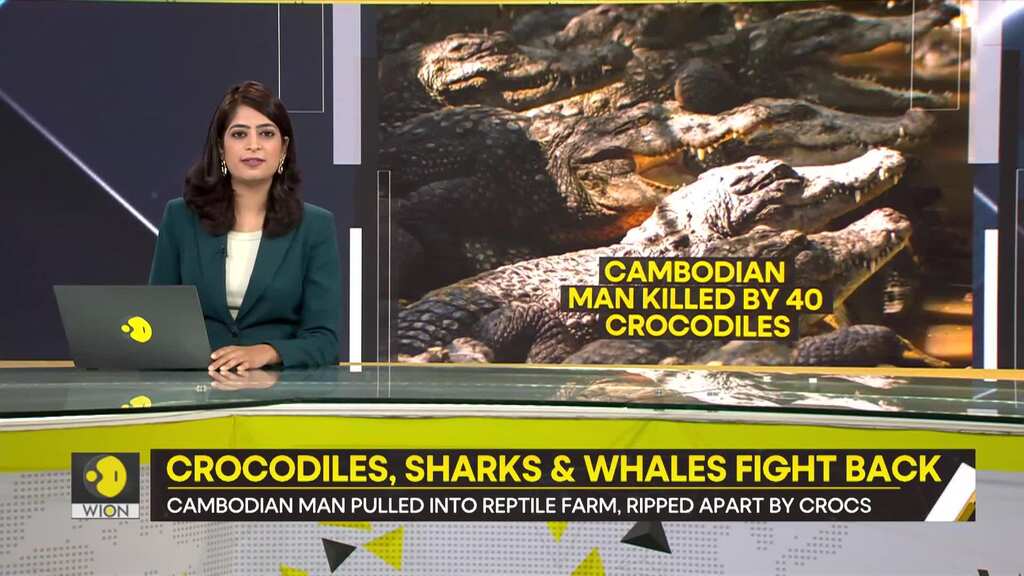 Gravitas: 40 Crocodiles rip apart a Cambodian man
