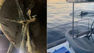 Killer whales wreck boat in latest 'scary' attack off Spanish coast