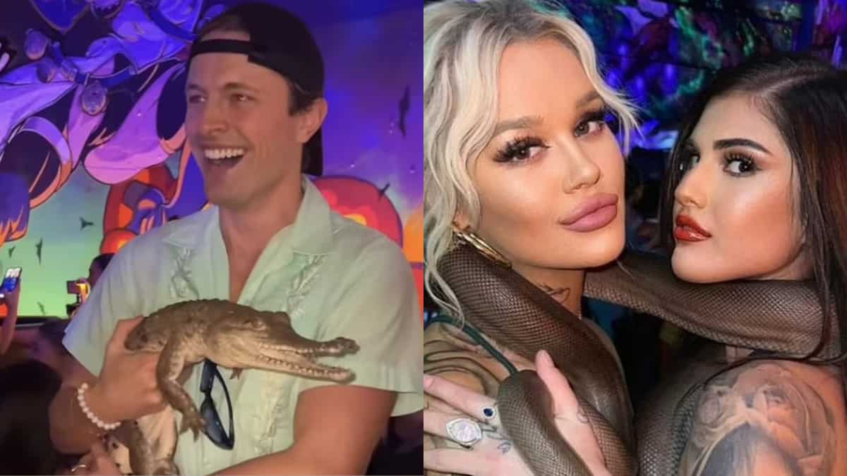 Melbourne club slammed for using live reptiles at relaunch party