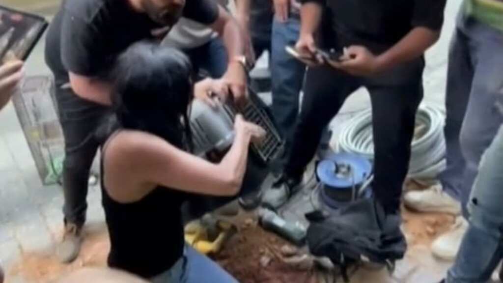Kitten trapped in drain pipe for 3 days found alive in Beirut