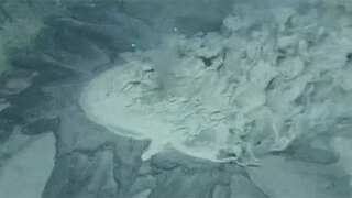 Scientists discover rare methane-spewing underwater volcano in Norwegian waters