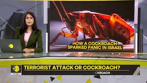 Gravitas: Psychology of terror in Israel