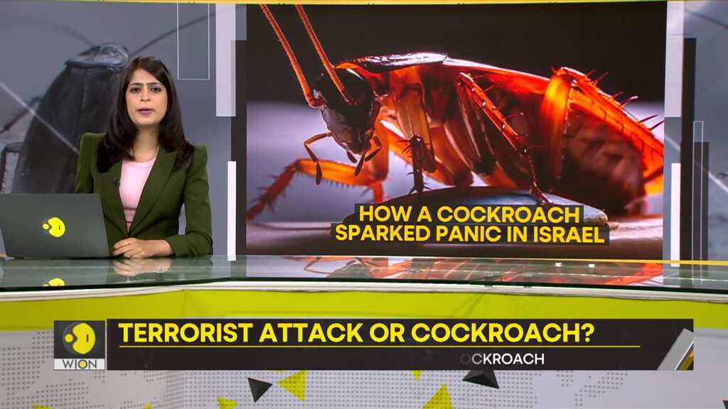 Gravitas: Psychology of terror in Israel