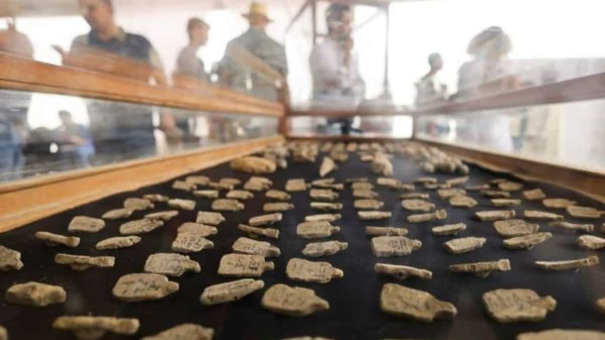 Ancient tools unearthed by Egyptians